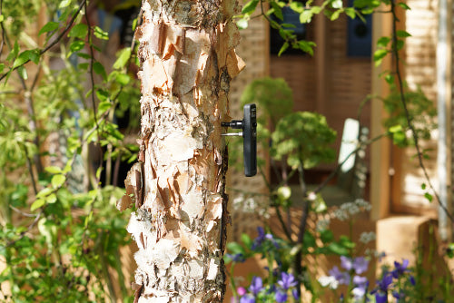 Tom Massey, In The Frame