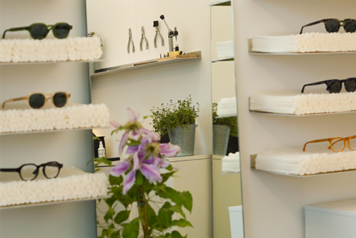 OUR FIRST RHS CHELSEA FLOWER SHOW