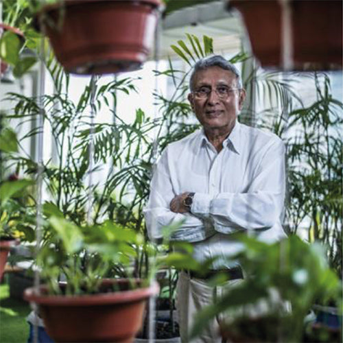MONC WATCHES: HOW TO GROW FRESH AIR