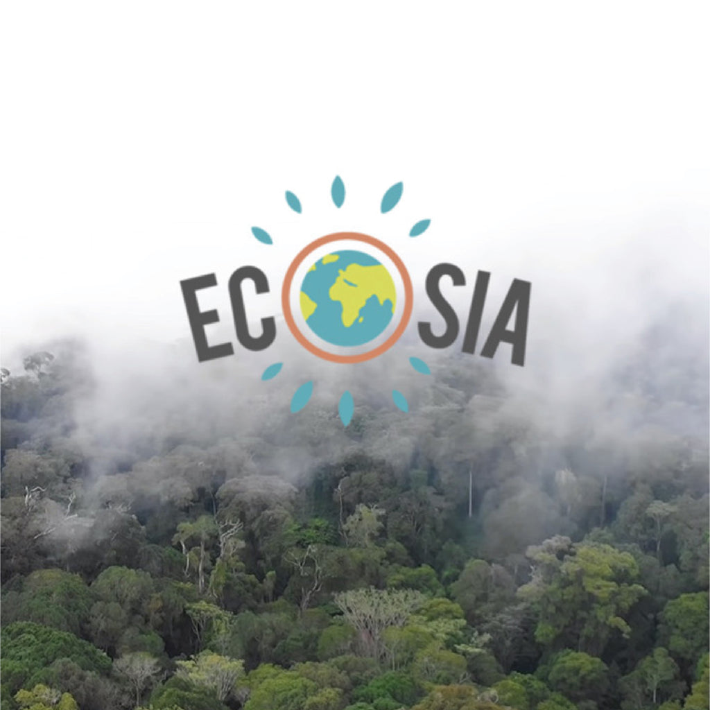 ON OUR RADAR: ECOSIA