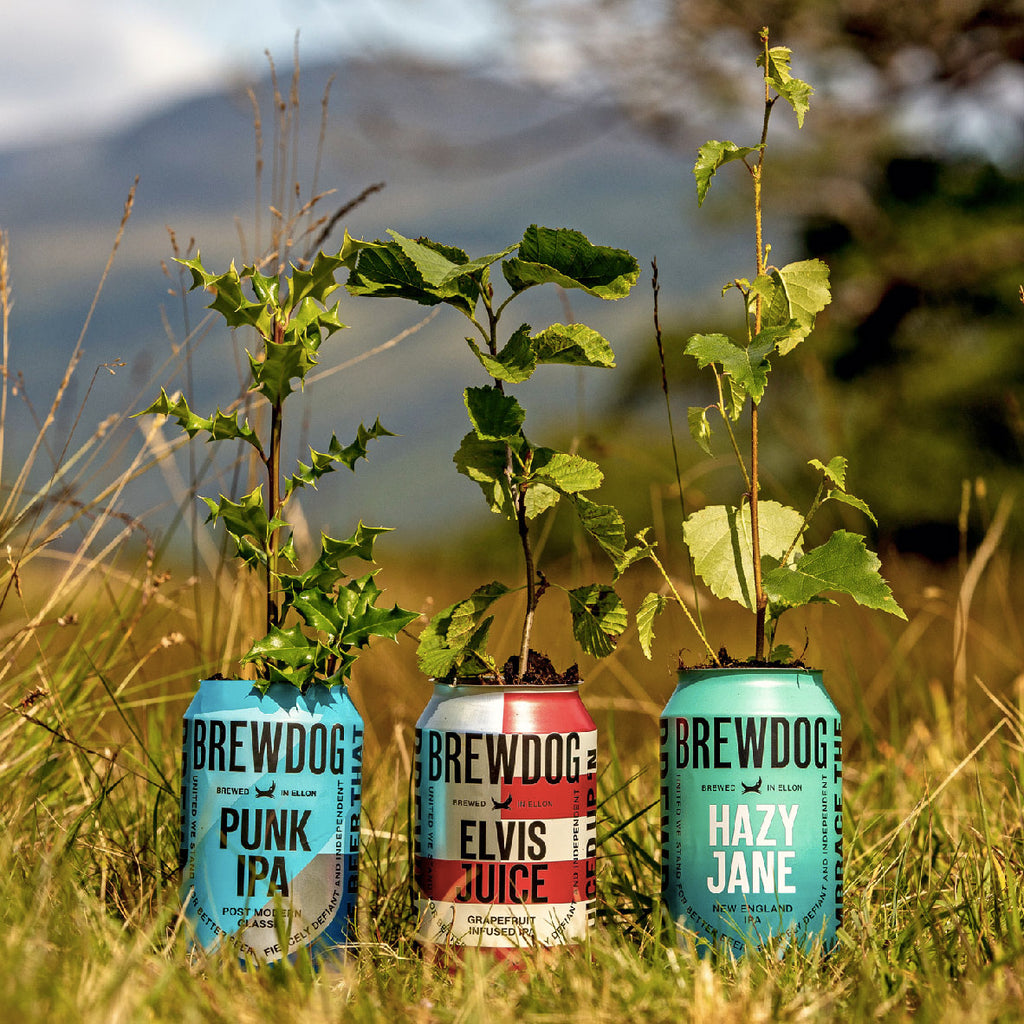 ACTION: BREWDOG GOES CARBON NEGATIVE