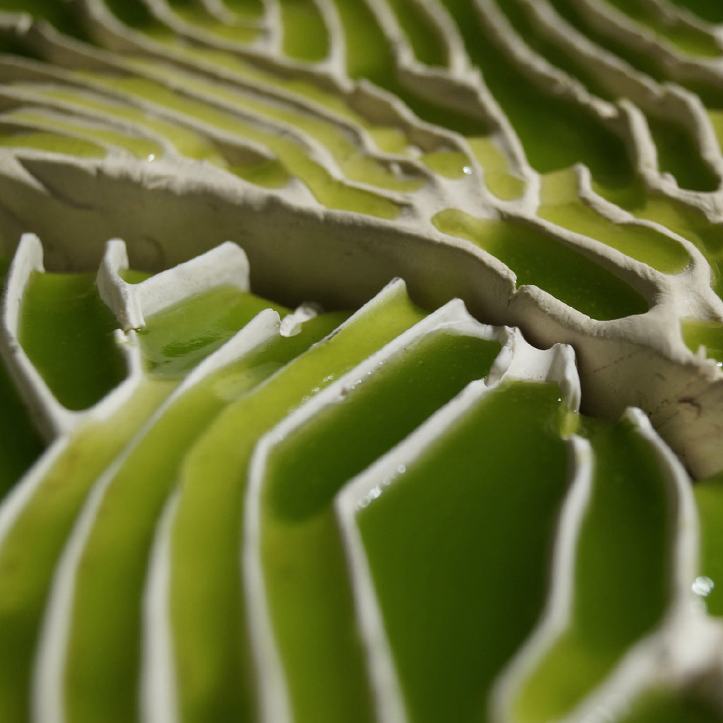 INDUS: Algae Purification