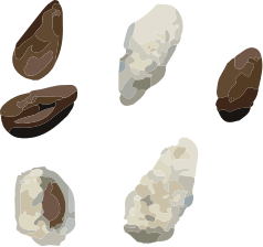 Sand
